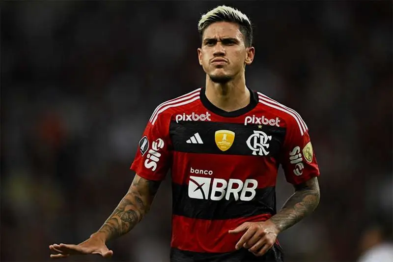 Artilheiros do Campeonato Carioca: Um Histórico de Goleadores