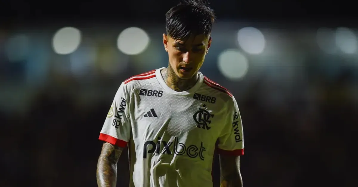 Erick Pulgar Desmente Rumores de Saída e Busca Renovação no Flamengo