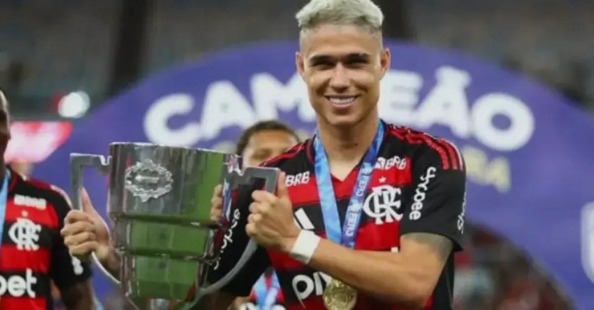 Luiz Araújo: Recuperação e Ascensão no Flamengo