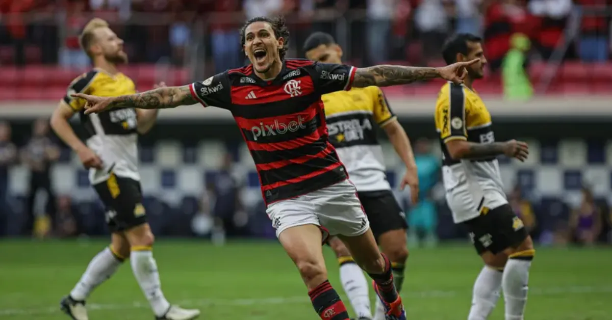 Ingressos Vitória x Flamengo: Brasileirão Série A 2024