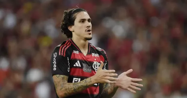 Pedro no Flamengo: Gols, Comparativos e Impacto em 2025
