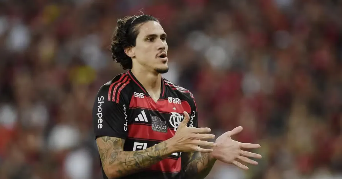 Pedro no Flamengo: Gols, Comparativos e Impacto em 2025