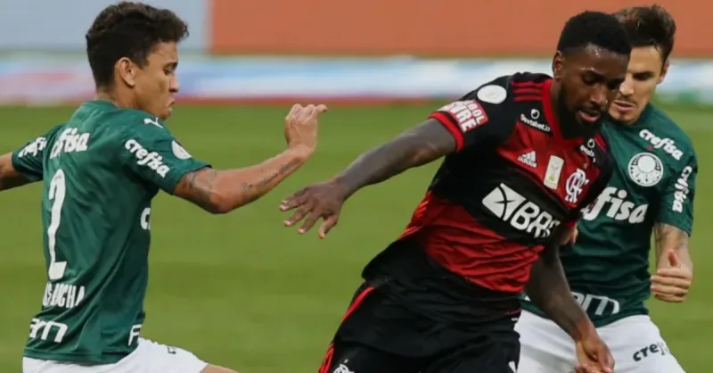 Flamengo x Palmeiras: Análise de Desempenho e Perspectivas Futuras