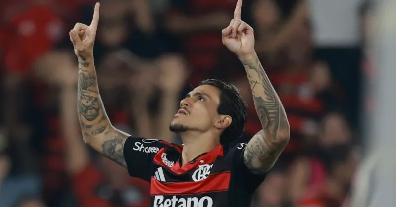 Flamengo E Recordes: Palmeiras Tenta Superar O Rubro-Negro No Brasileirão 2025